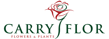 Logo Carry Flor