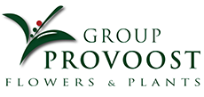 Group Provoost